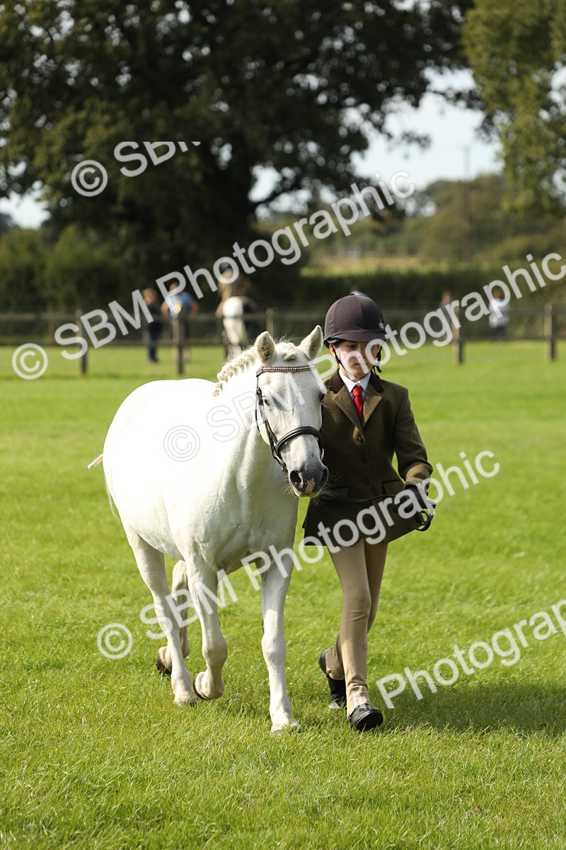 SBM_68645 - S40 - Junior Handler 9-12 Years