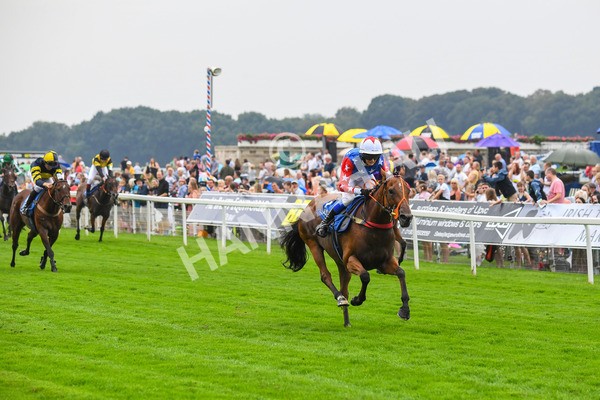 100923-Pony Race 1-Seal The Deal-0090 - Pony Race 1 12.25 The Dragon (TV and Film) Studios Pony Race 148cm & Under