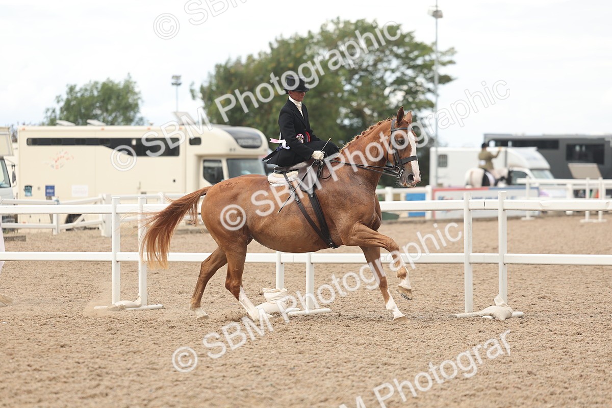 SBM_06333 - Class 24 - SSA Concours d'Elegance