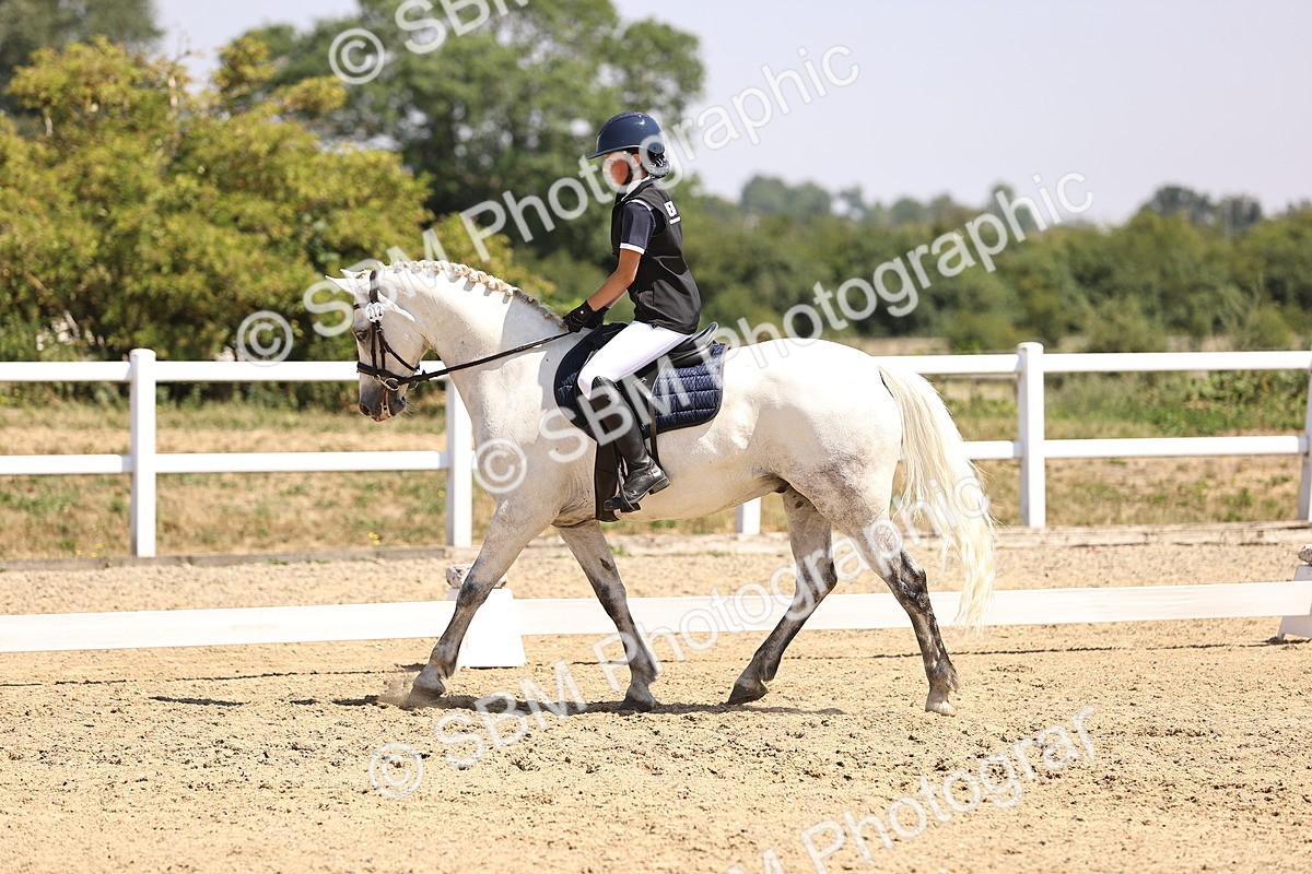 SBM_004079 - Intro 2