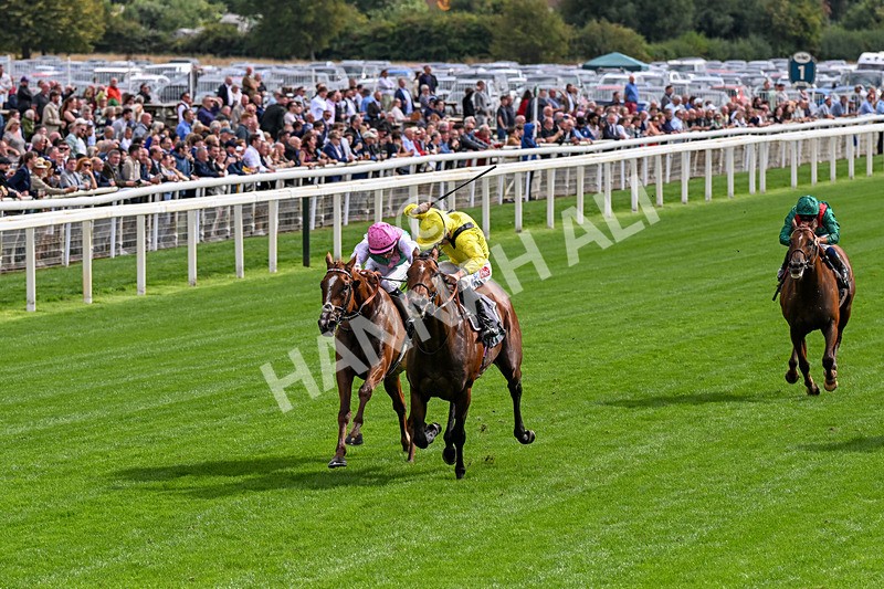 190826-Race 4-Item-0458 - Race 4 15.35pm Juddmonte International Stakes