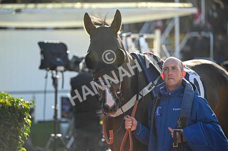 251025-Race 3-Rock My Way-8486 - Race 3