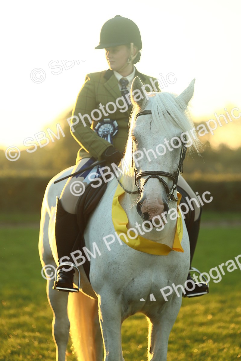 SBM_56705 - Fun & Versatile Supreme Championship