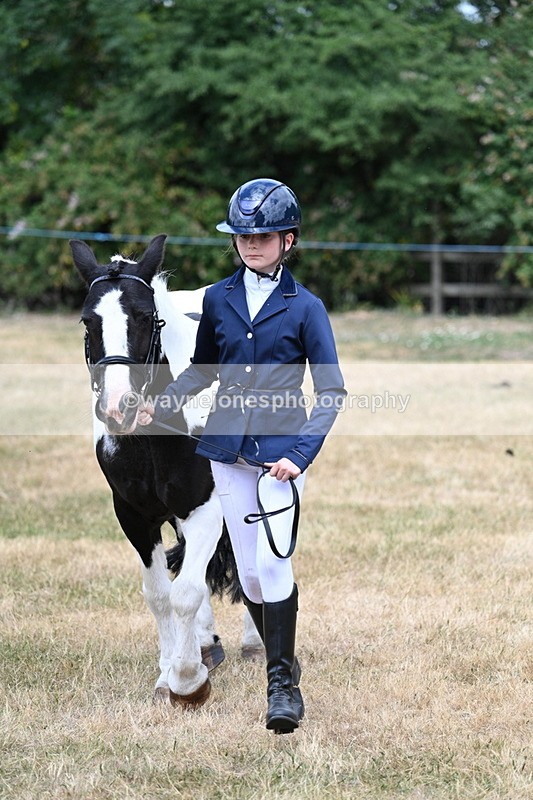 WJ7_1683 - Class 4 Prettiest Mare up to 14.2hh in hand