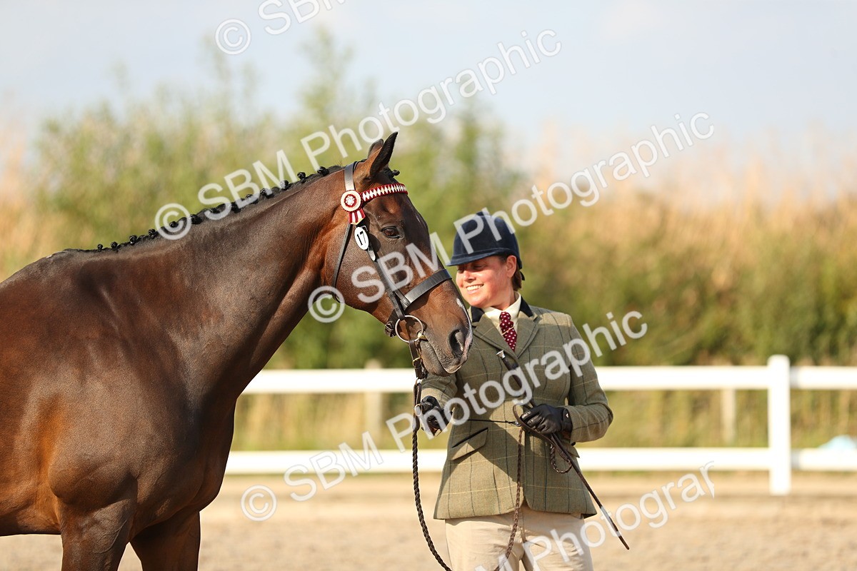 SBM_08662 - Class 28 - IH Veteran Horse