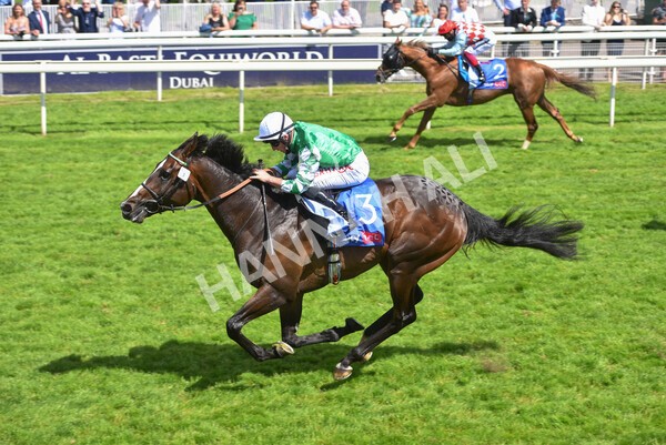 yr12062021r3-6 - Race 3 3.05pm Sky Bet Race to the Ebor Grand Cup