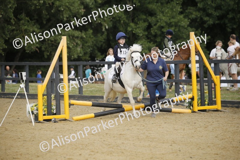 20250622-1301 - 40cm