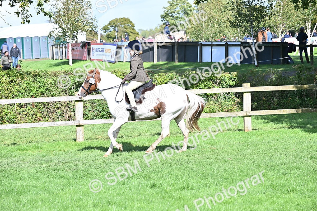 SBM_44567 - S13 - Pony Club Pony