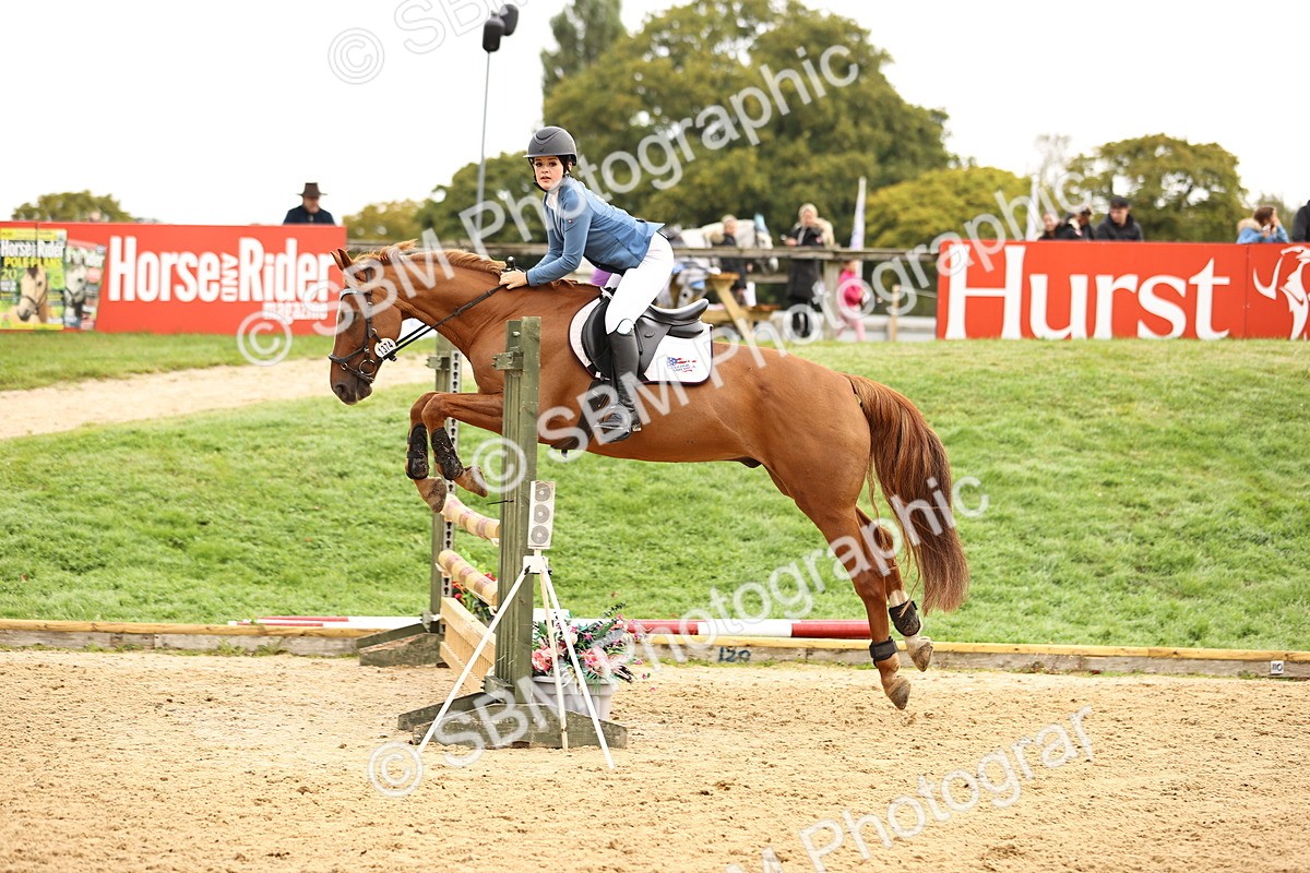 SBM_58527 - J41 - Grand Tour Horse & Pony 95cm