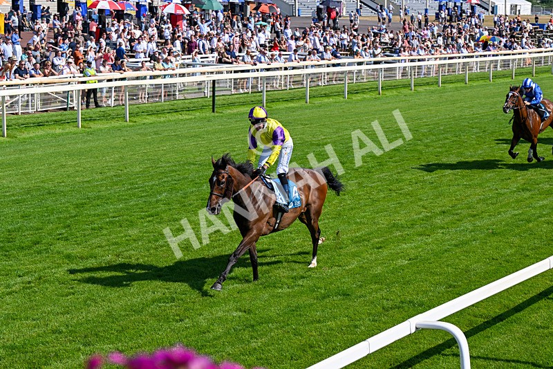 100726-Race 5-Dark Moon Rising-0359 - Race 5 16.30pm Azets Handicap