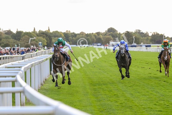 111024-Race 3-Minstrel Knight-1647 - Race 3 2.40pm William Hill Finale Handicap