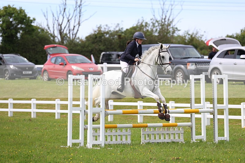 3E7A1825 - Class 13: Senior British Novice/90cm open