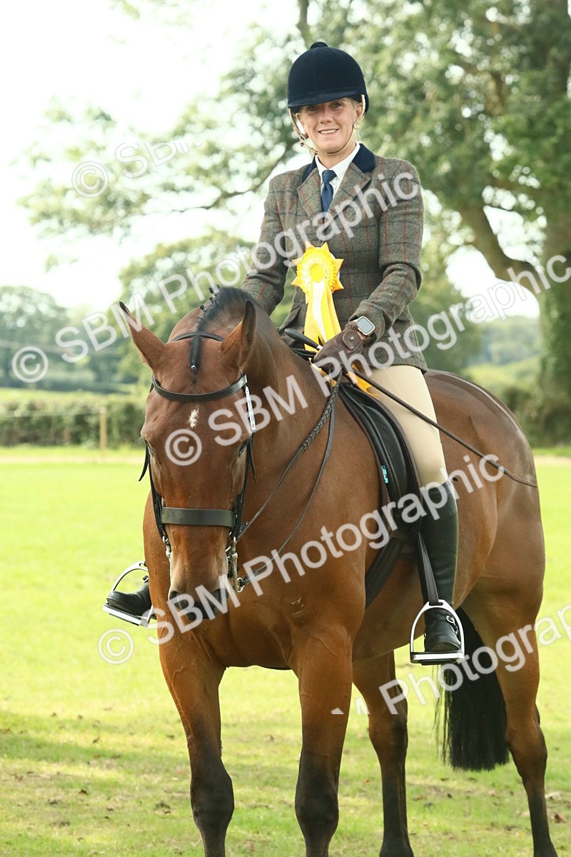 SBM_66781 - S34 - Rehabilitated Rescue Horse & Pony In Hand & Ridden
