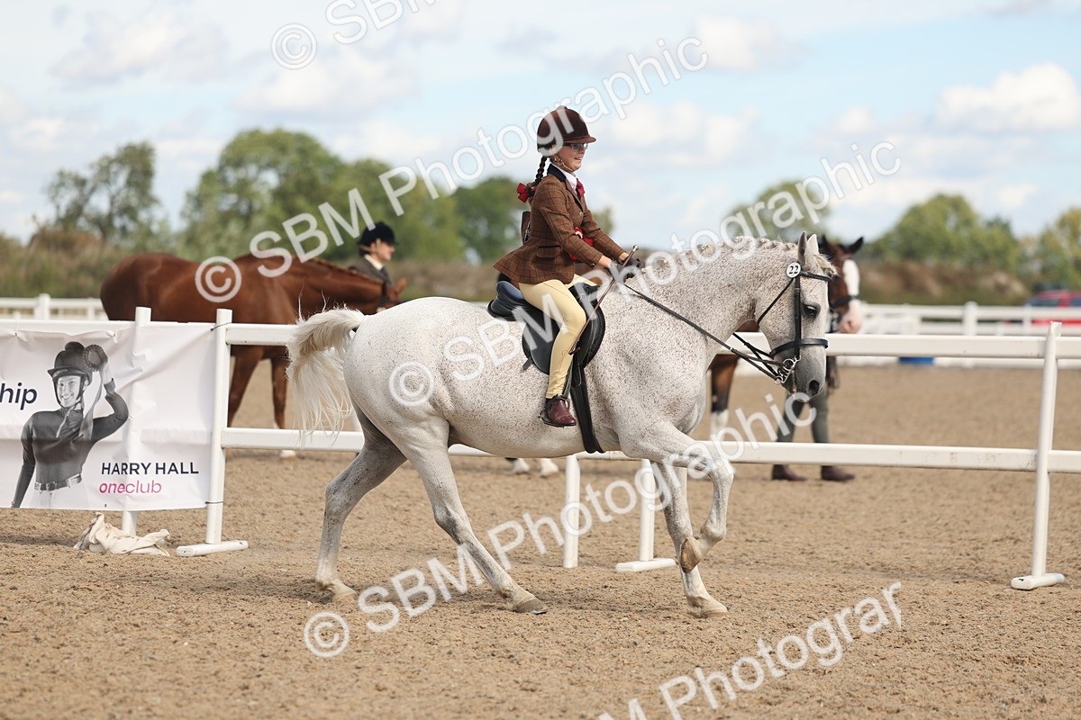 SBM_13211 - Class 306 - Ridden Foreign Breds - Part Bred