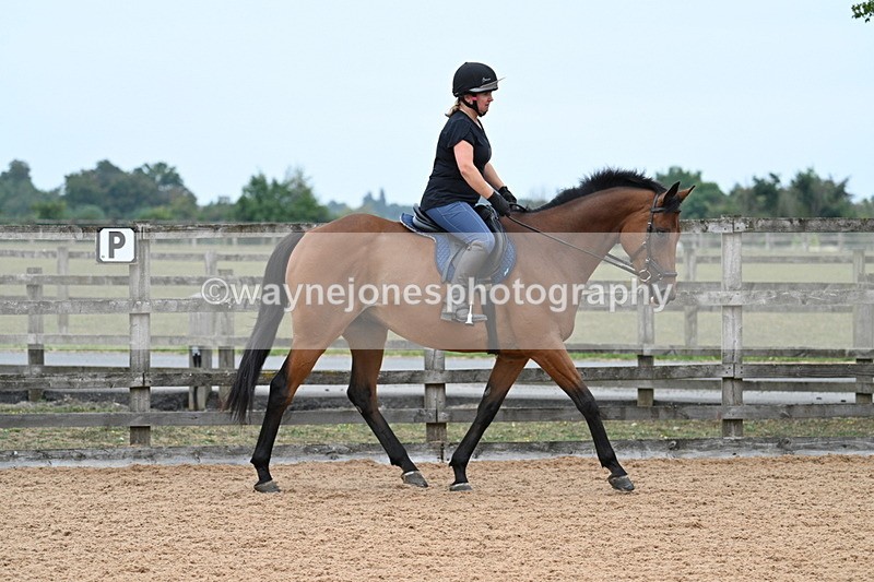 WJ7_8250 - Poles 11:00am