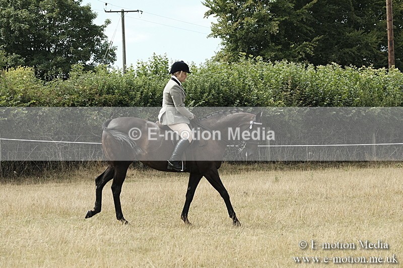 _PJP6079 - BVRC Show 2018 Ring 1