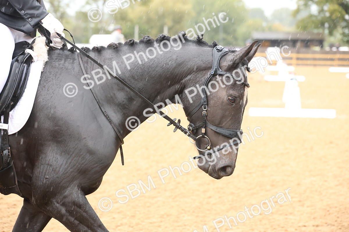 SBM_36692 - D18 - Grand Tour Championship Novice 2