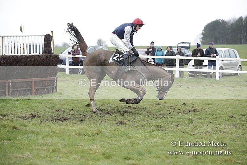 PtP 150320 0351 - New Forest Point-to-Point Larkhill 15/03/20