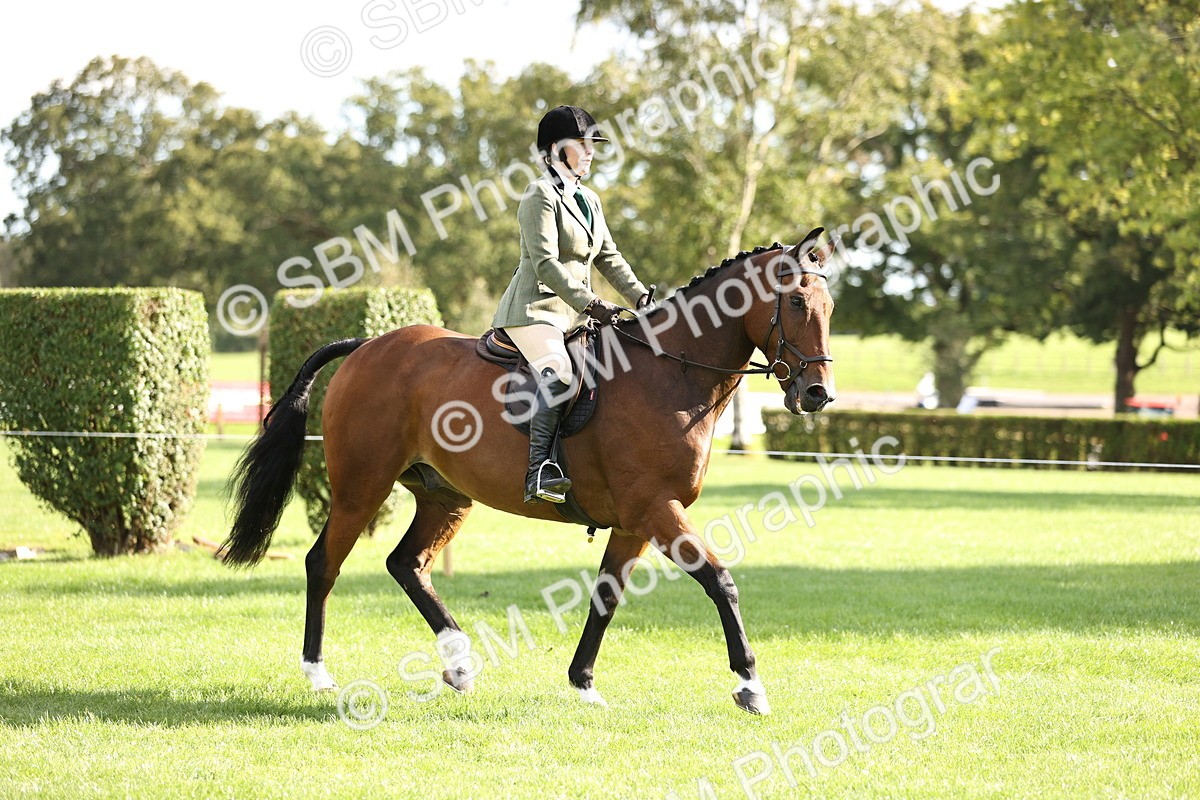 SBM_26349 - S6 - Novice & Newcomers Ridden Horse