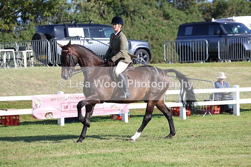3E7A5402 - Class 2: Rising Star Large Hack/Riding Horse