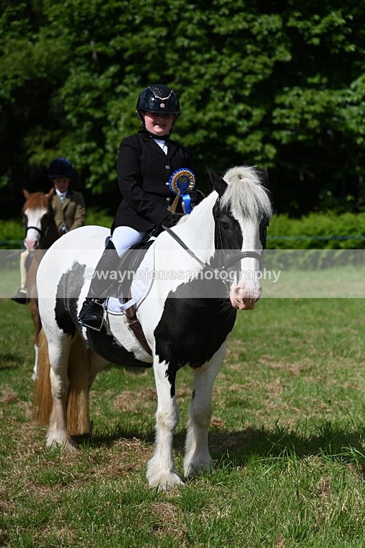 WJ7_0824 - Class 8 First Rally Pony