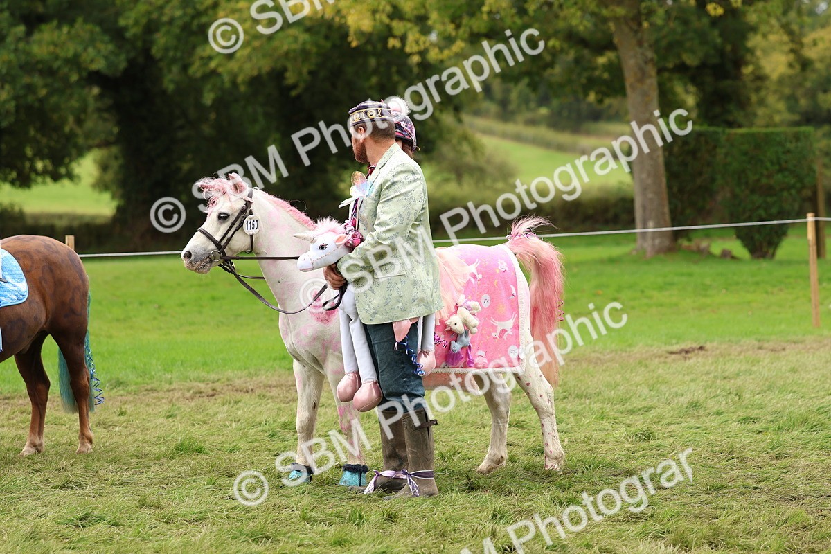 SBM_62206 - S37b - Best Unicorn