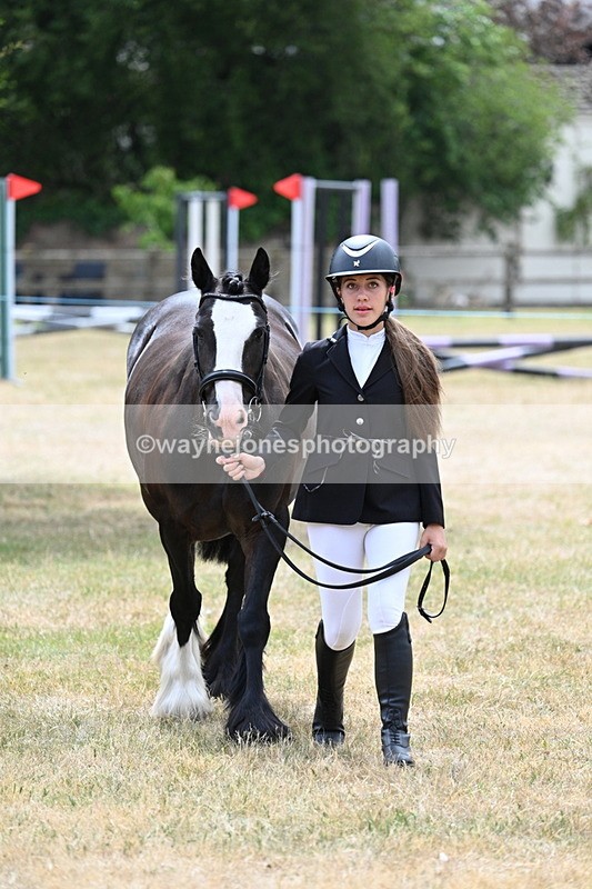 WJ7_1395 - Class 4 Prettiest Mare up to 14.2hh in hand
