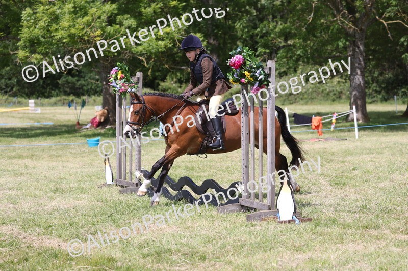 20260614-1753 - Class 21 - Novice Working Hunter Pony