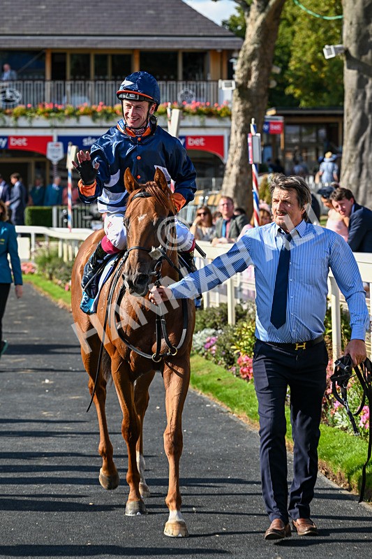220826-Race 6-Sale Shark-1682 - Race 6 16.45pm Julia Graves Roses Stakes