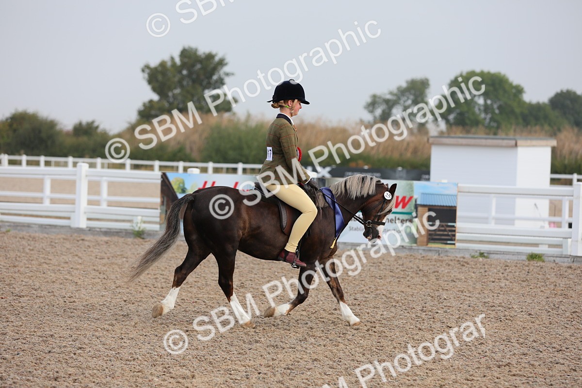 SBM_09696 - Class 301 Ridden M&M -Small Breeds