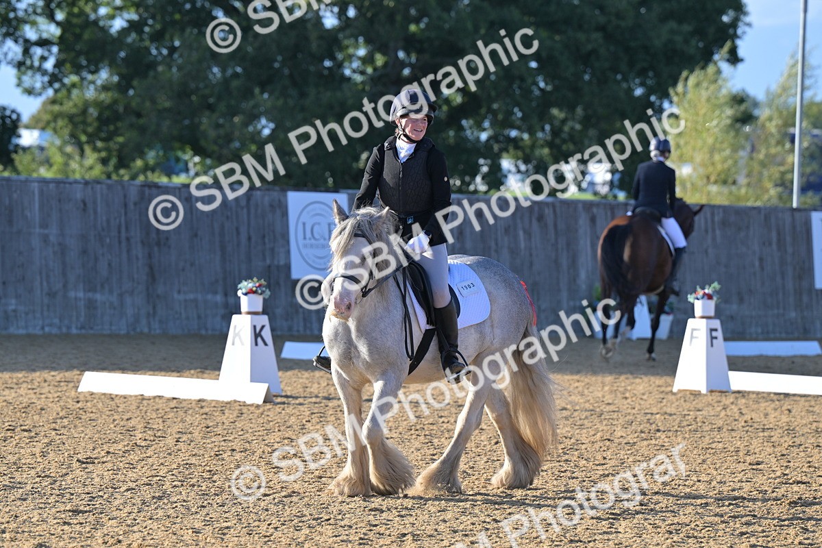 SBM_13127 - D3 - Small Tour Championship Intro 3