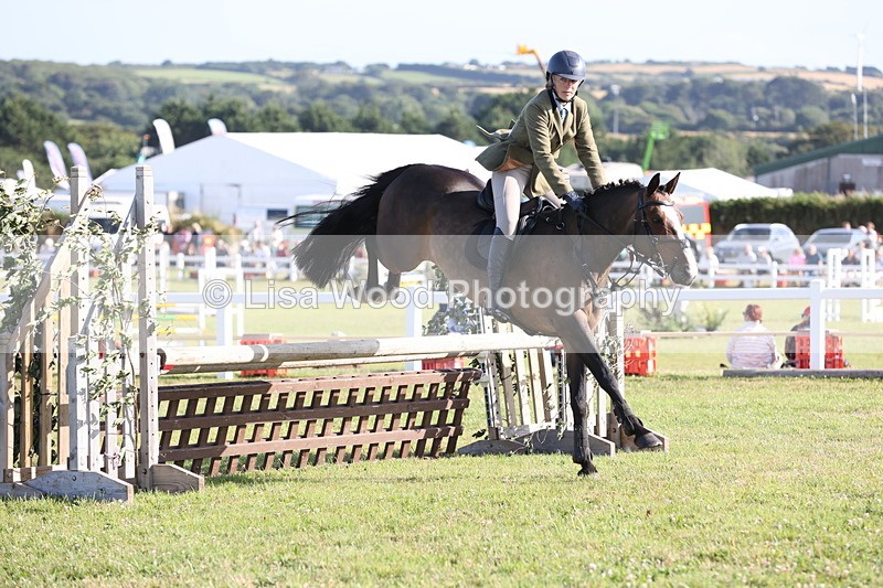 JPP_3143 - Class 21: Working Hunter 80cm