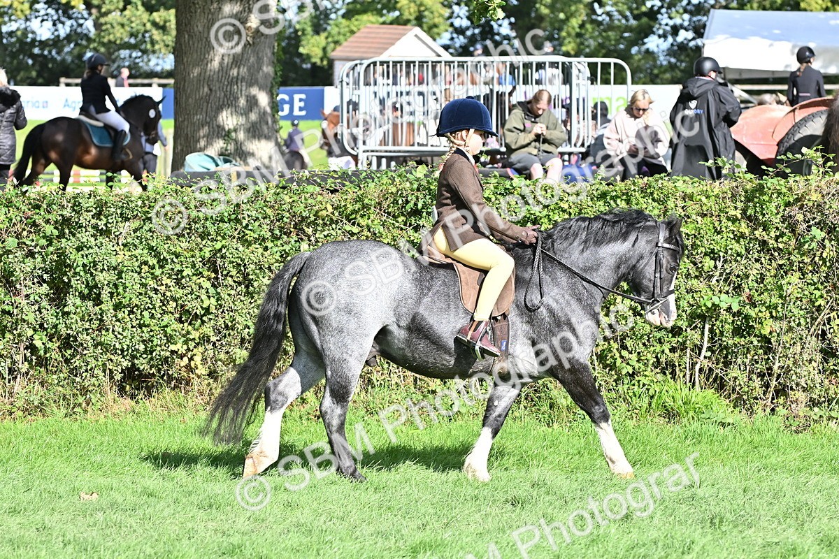 SBM_50235 - S21 - Novice & Newcomers First Ridden