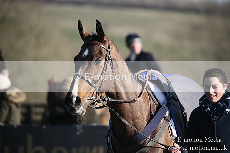PtP 240218 630 - Vine & Craven Hunt Point-to-Point Barbury racecourse 24/02/18
