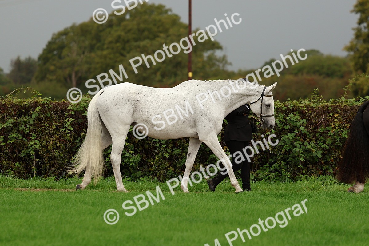 SBM_32905 - S8 - Best Turned Out