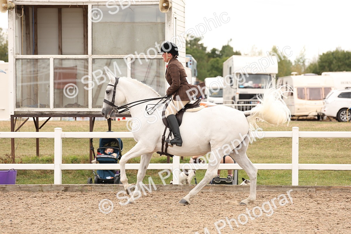 SBM_16505 - Class 212 - Ridden Hunter - Small