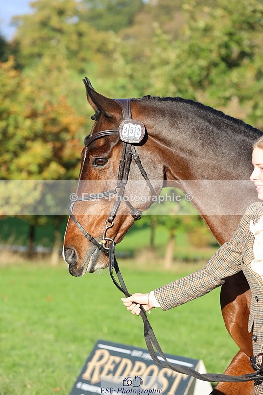 251026A-093811-22389 - E-398-Fenella.Redvers