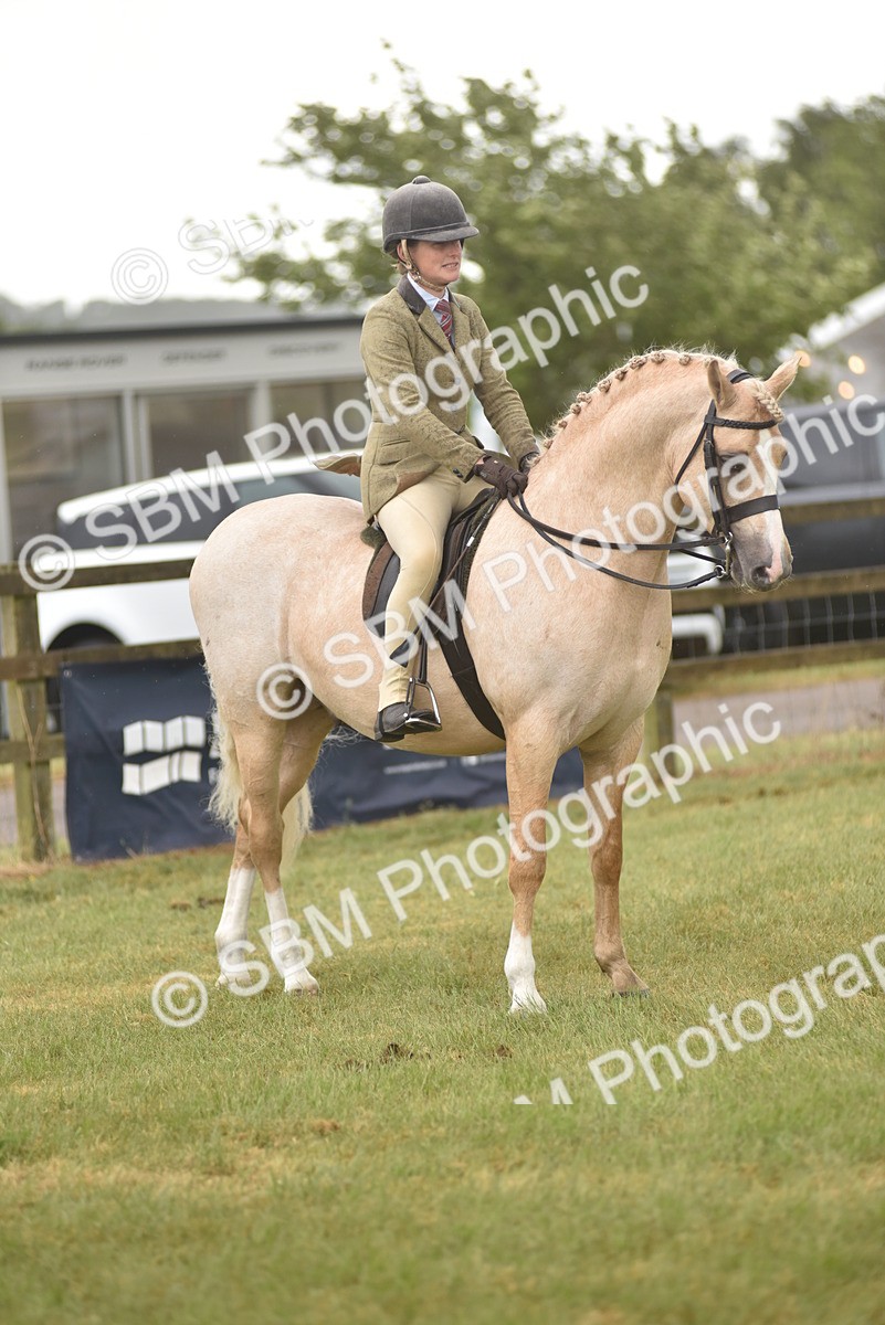 SBM_12105 - Class 110-112 - LIHS BSPS Performance Pones