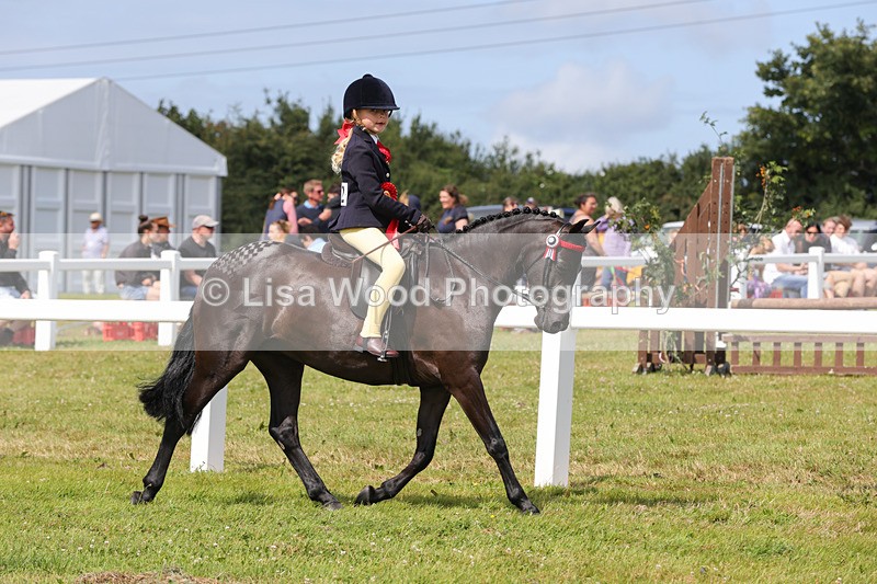 1X9A3815 - Plaited Mini Ridden Championship