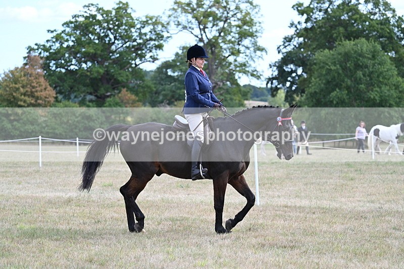 WJ7_5966 - Class 13 Ridden Veterans