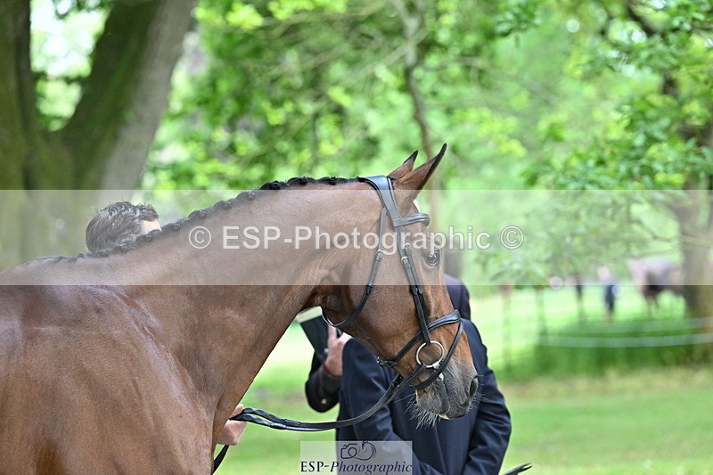 250521A-151123-00329 - B-303-Alexander.Bragg-SHANNONDALE.ALDO