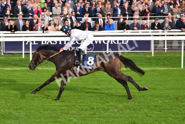 yr07102022r4-38 - Race 4 3.50pm William Hill Best Odds Guaranteed Stakes