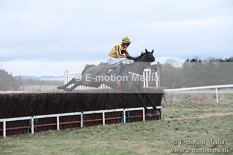PtP 230119 155 - Royal Artillery Point-to-Point  - Larkhill  - 26/01/19