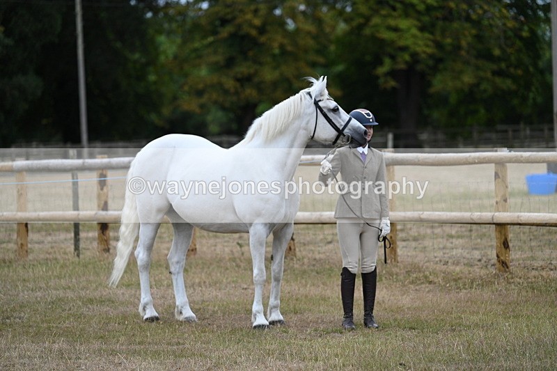 WJ7_8737 - Class 4a Prettiest Mare 14.2hh and over