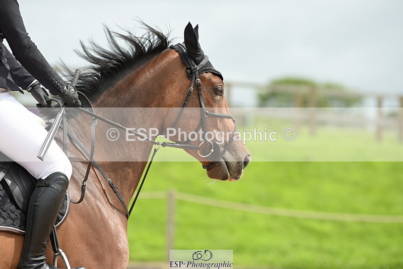 230813A-130638-13171 - Cls 49 Chard Eq 5yr Old Championship