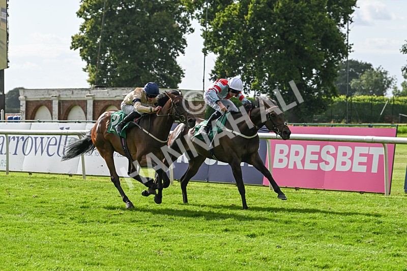 030824-Race 6-Night Breeze-1954 - Race 6