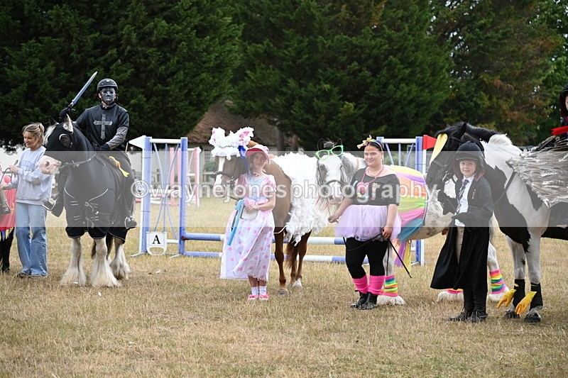 WJ6_9246 - Class 11 Fancy Dress