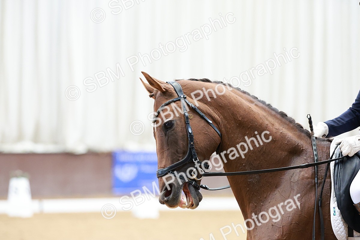 SBM_015588 - Class 5 - FEI INT II - 15.48-17.00