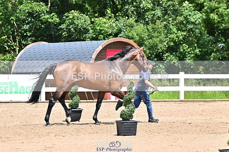 240718A-105307-01582 - Trot Up 1pm to 2pm