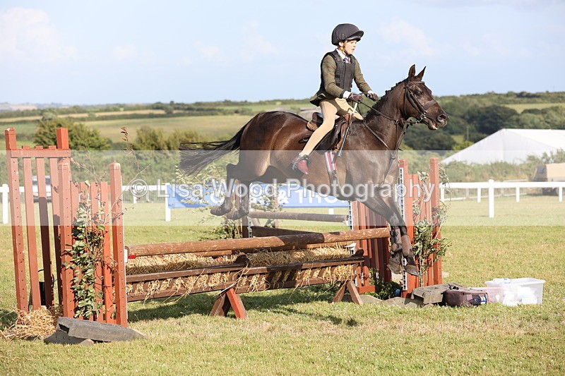 JPP_3257 - Class 21: Working Hunter 80cm